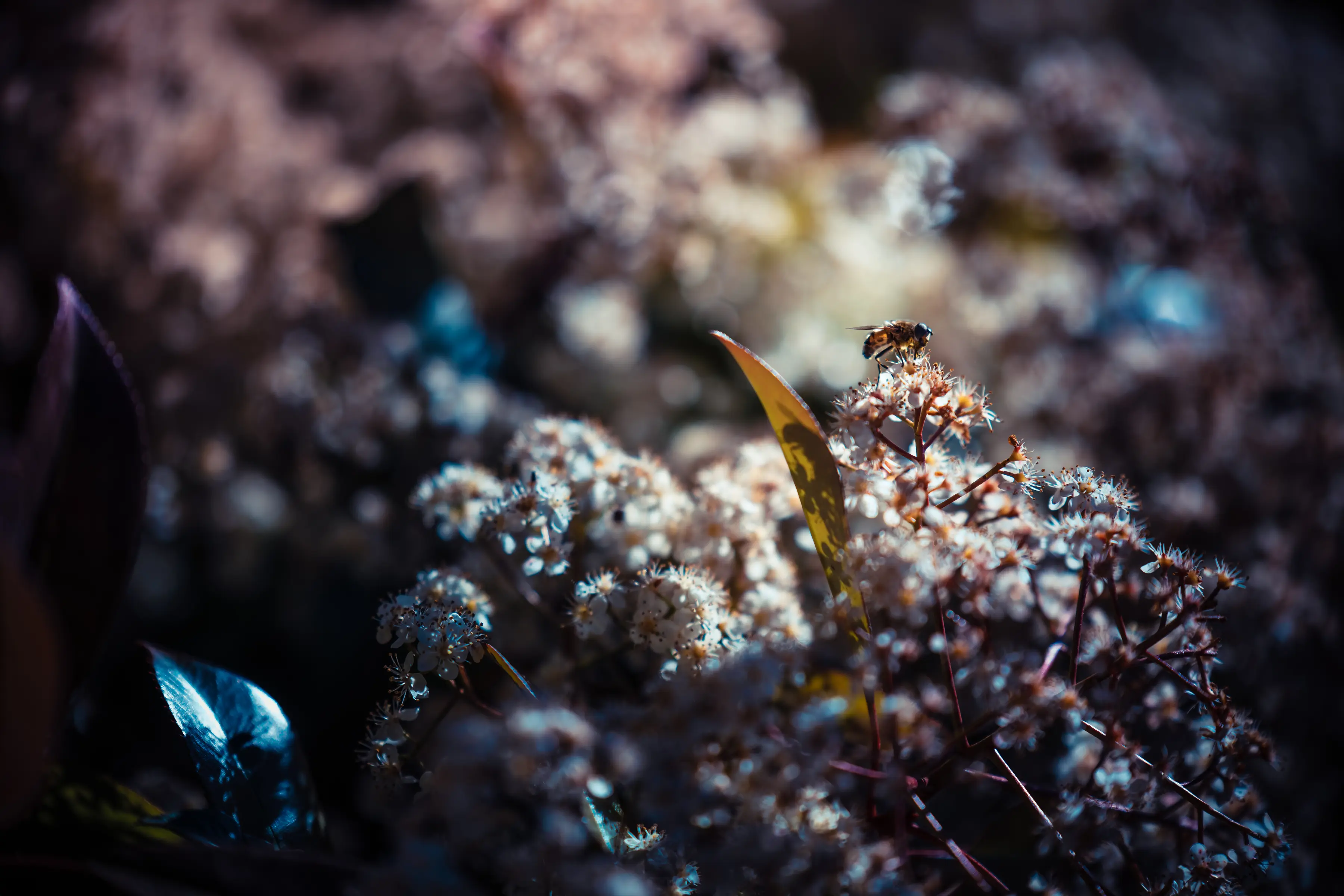 Intento subida Abantos-3